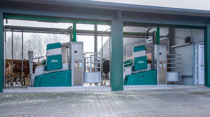 GEA ROBOTS SAVE ENERGY AND WATER, ESPECIALLY WITH LARGE HERDS